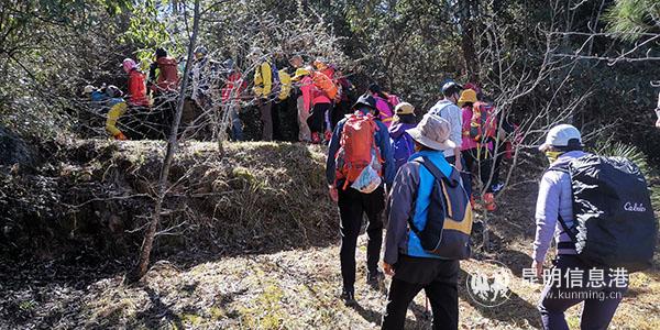 圖四 徒步團(tuán)正在穿越樹林。供圖