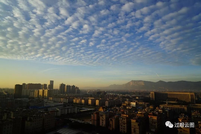 微信圖片_20200121150752 微信圖片_20200121150752