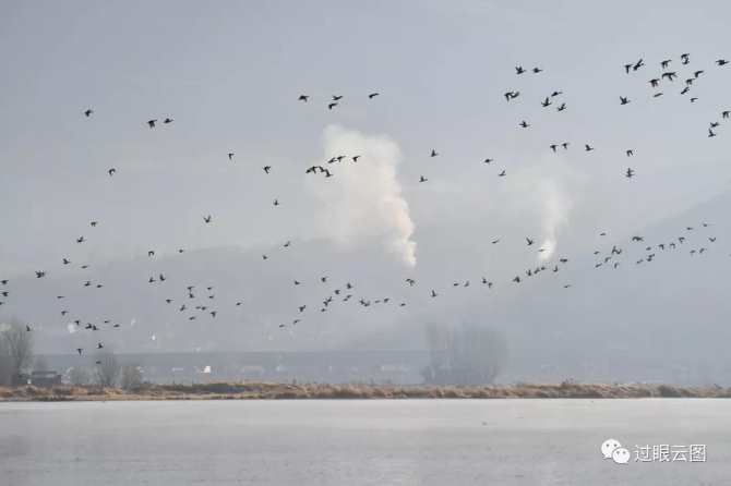 微信圖片_20200121150800 微信圖片_20200121150800