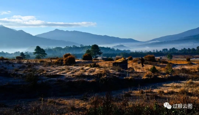 微信圖片_20200121151513 微信圖片_20200121151513