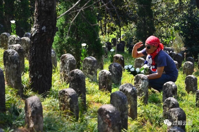 微信圖片_20200121151514 微信圖片_20200121151514