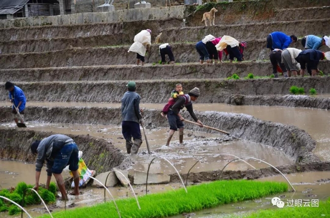 微信圖片_20200121151516 微信圖片_20200121151516