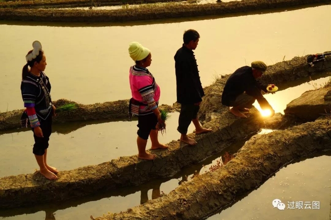 微信圖片_20200121151519 微信圖片_20200121151519