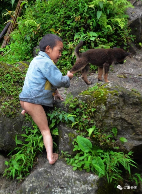 微信圖片_20200121151527 微信圖片_20200121151527