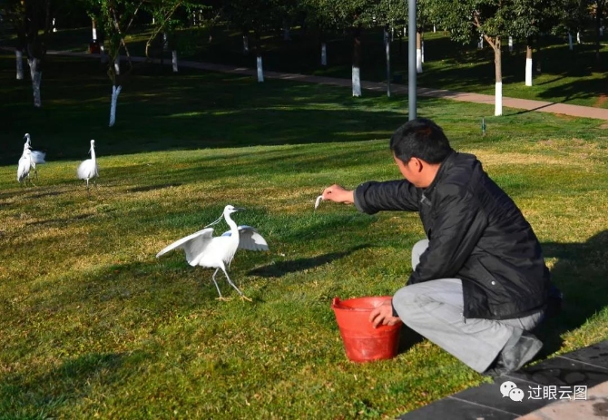 微信圖片_20200121152358 微信圖片_20200121152358