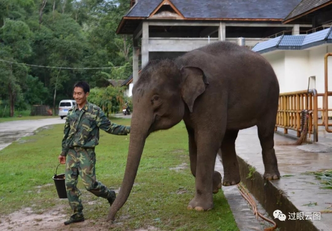 微信圖片_20200121152402 微信圖片_20200121152402