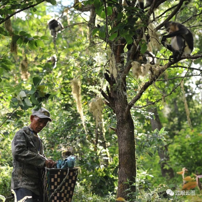 微信圖片_20200121152403 微信圖片_20200121152403