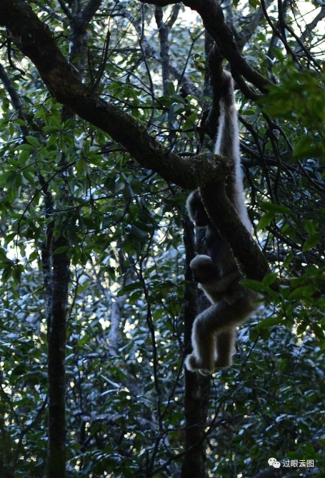 微信圖片_20200121152406 微信圖片_20200121152406