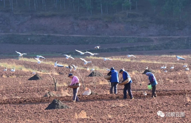 微信圖片_20200121152408 微信圖片_20200121152408