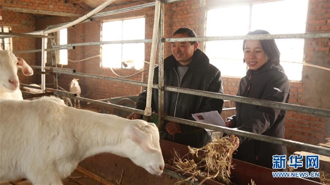（新華全媒頭條·圖文互動(dòng)）（4）在最艱苦的地方，有最溫暖的你——安徽省“第一書(shū)記”的新春堅(jiān)守