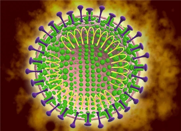 640.webp (1) 640.webp (1)