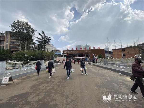 大觀篆新農(nóng)貿(mào)市場(chǎng)。記者俞逍 攝