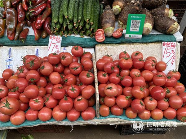 番茄價(jià)格。記者俞逍 攝
