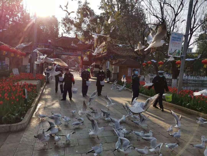 210300171.jpg?x-oss-process=style/w10