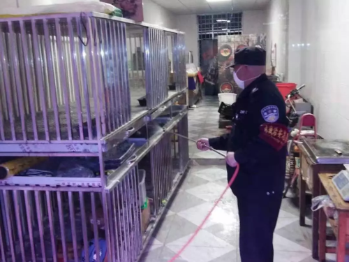 QQ圖片20200130143431