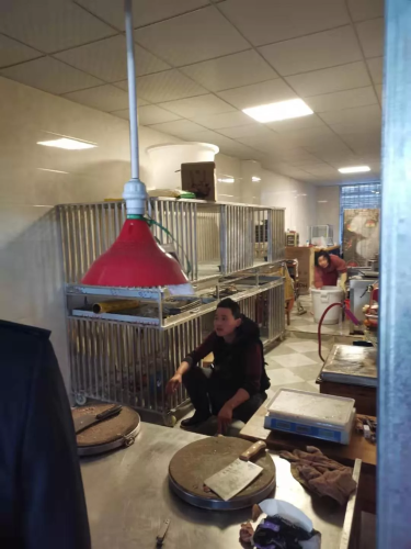 QQ圖片20200130143502