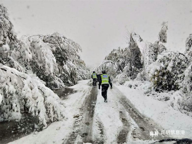 朱慶照片6 朱慶照片6