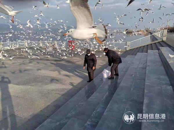 最美飼養(yǎng)員