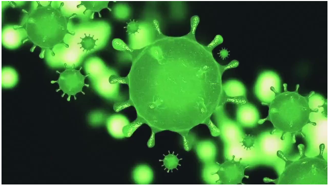 TIM截圖20200203161502