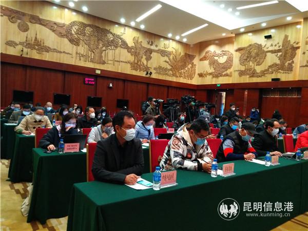 新聞發(fā)布會現(xiàn)場2。記者江楓攝