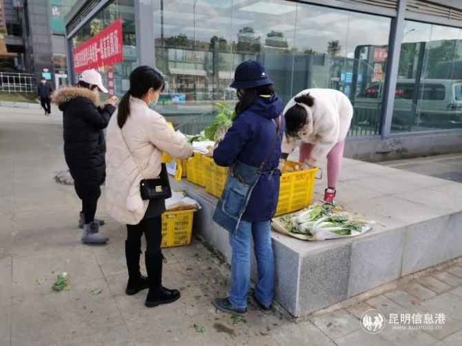 微信圖片_20200203165525 微信圖片_20200203165525