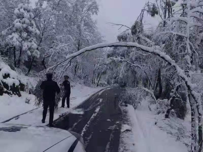 微信圖片_20200205114726 微信圖片_20200205114726