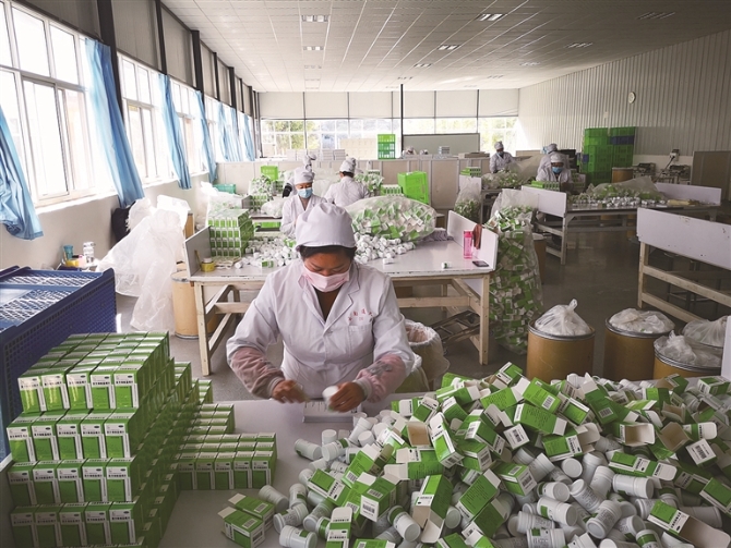 2月2日，云南通大生物藥業(yè)有限公司外包裝人員在包裝防控中藥復(fù)方南板藍(lán)根片。