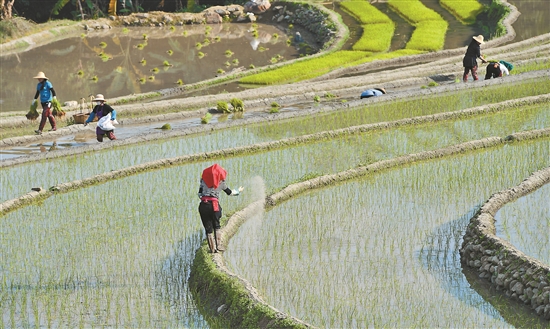 2020020601_res07_attpic_brief 2020020601_res07_attpic_brief