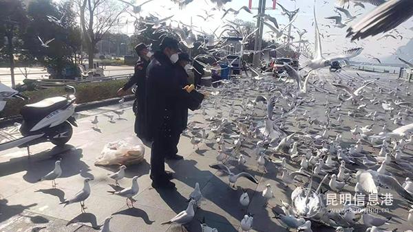 53aac2a4f80c47188e4a7b1f55c3f4a