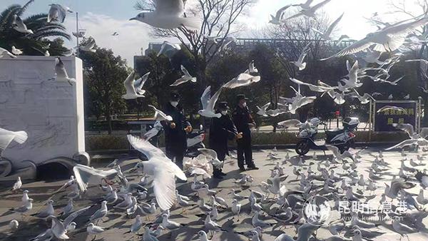 95b0e47826ba4deb640efaa98345d90