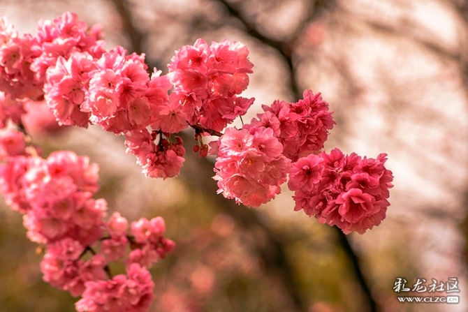 1520562231_SwkhaQ 1520562231_SwkhaQ