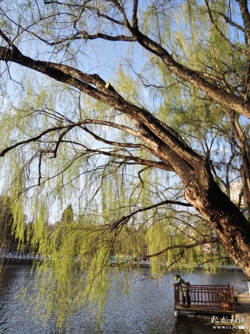 15202403281720.3770161735943_5636 15202403281720.3770161735943_5636