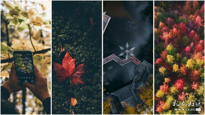 15752158398314833873206112394_7847 15752158398314833873206112394_7847