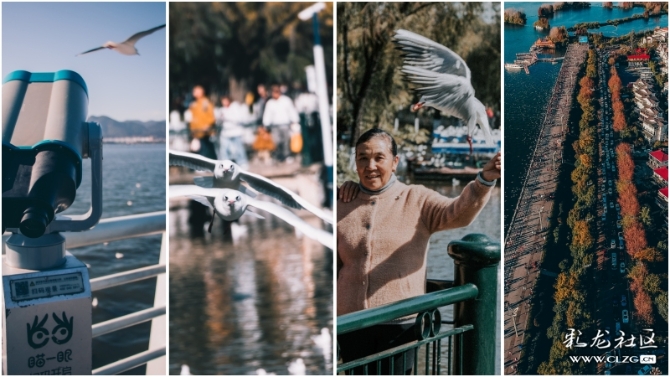 15752158395639092166465499361_7847 15752158395639092166465499361_7847