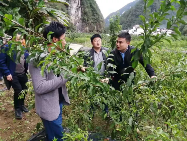 微信截圖_20200208114635