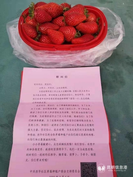 西山區(qū)西華社區(qū)送去草莓。受訪者供圖