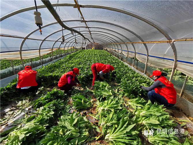 WechatIMG41 WechatIMG41