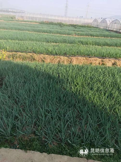 QQ圖片20200209113736