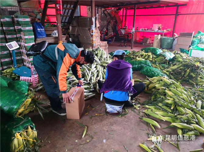 微信圖片_20200209143005 微信圖片_20200209143005