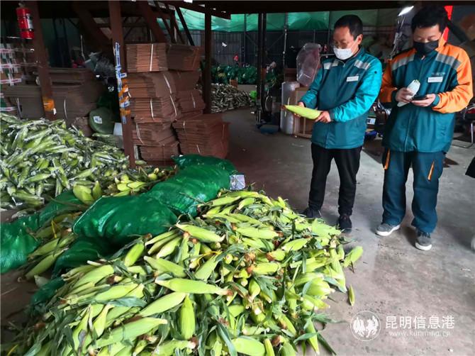 微信圖片_20200209142930 微信圖片_20200209142930