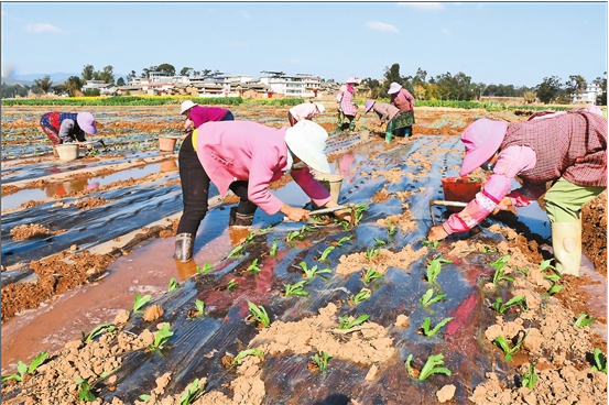 微信截圖_20200210073904 微信截圖_20200210073904