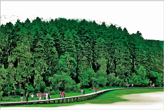 微信截圖_20200210073904