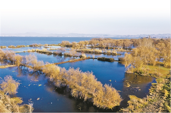 微信截圖_20200210082221