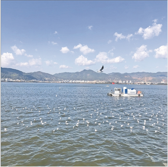 微信截圖_20200210082252