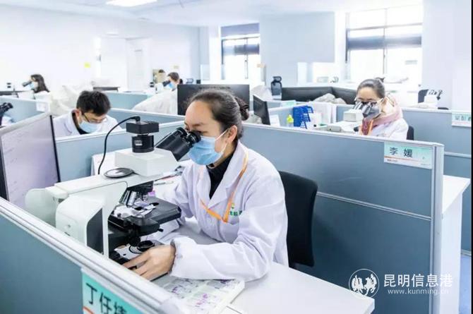 金域醫(yī)學(xué)檢驗公司樣本檢測工作 金域醫(yī)學(xué)檢驗公司樣本檢測工作