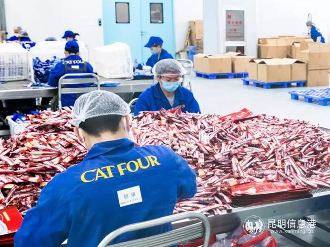 肆只貓咖啡裝袋車間 肆只貓咖啡裝袋車間