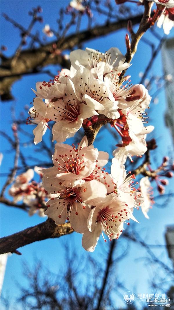 來源：彩龍社區(qū)網(wǎng)友 王元寧 攝5