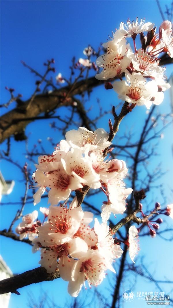 來源：彩龍社區(qū)網(wǎng)友 王元寧 攝9