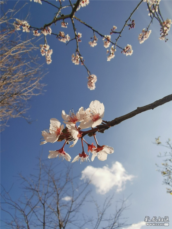 來源：彩龍社區(qū)網(wǎng)友 糊涂 攝4