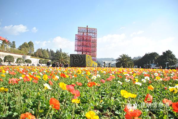 昆明世博園在疫情期間，苦練“內(nèi)功”。